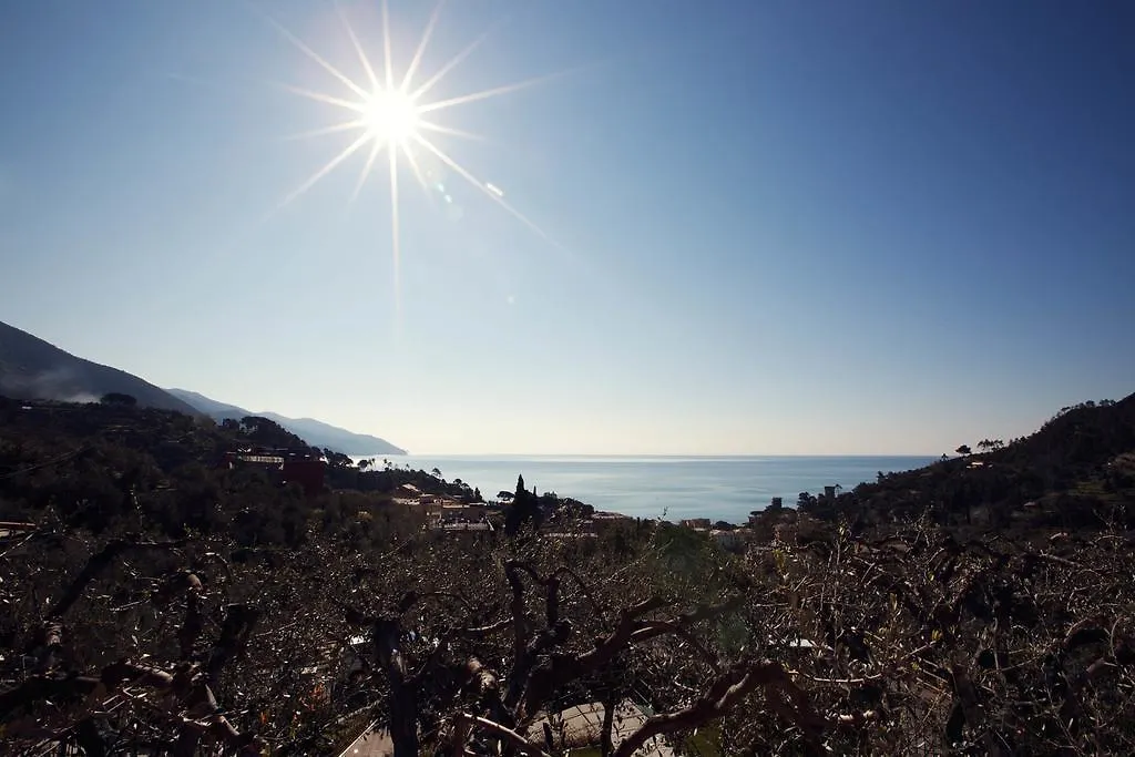 Bed & Breakfast B&B Il Parco Monterosso al Mare